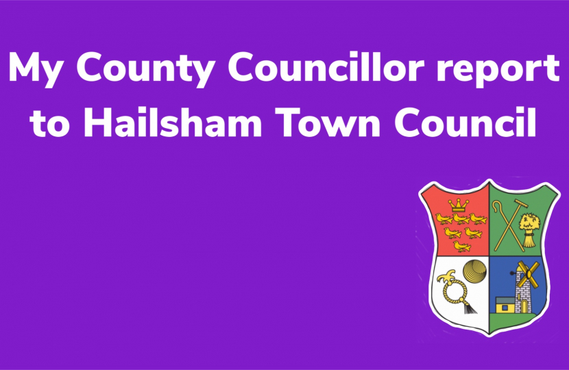 November Report to Hailsham Town Council